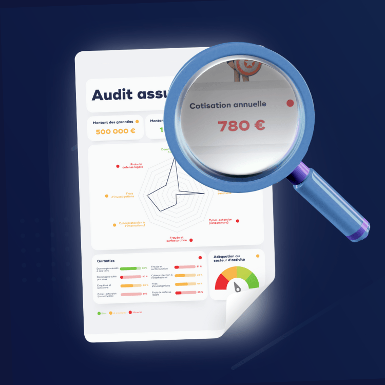Audit assurance professionnelle