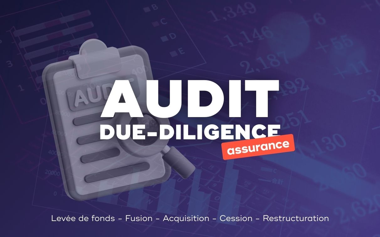 audit due diligence assurance